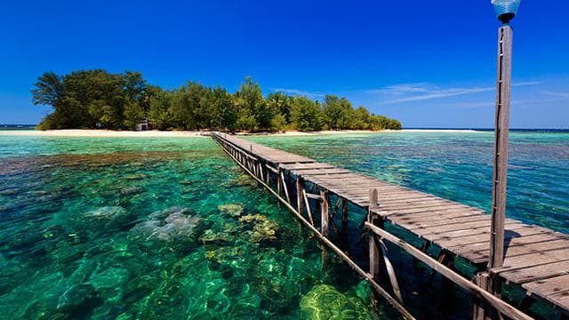 Keindahan Alam di Bawah Laut Jawa Tengah