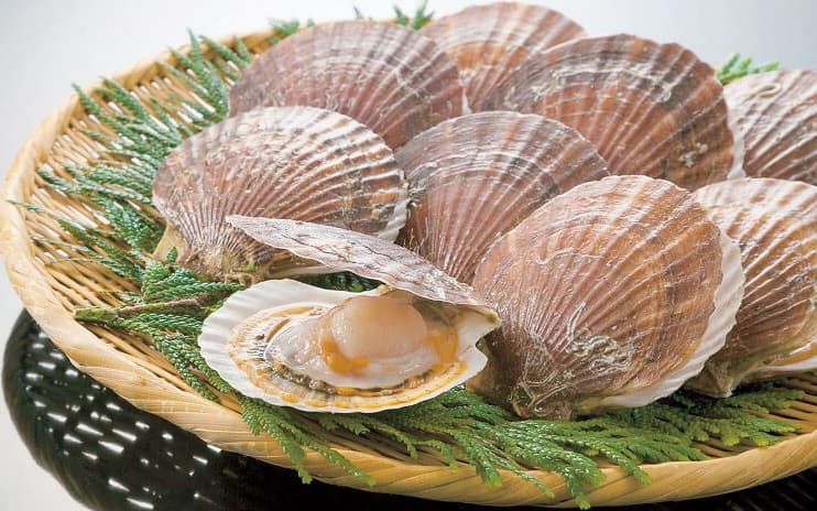 Suhu Tinggi Timbulkan Malapetaka bagi Kerang Simping Aomori