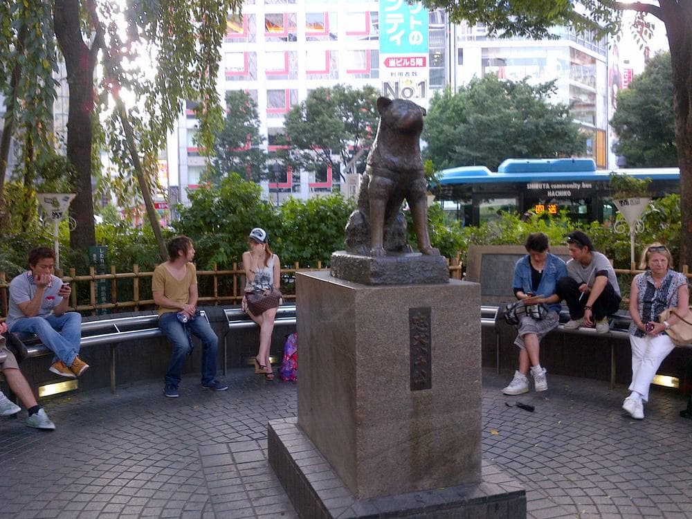 Anjing Akita Berjalan di Jalanan Shibuya untuk Peringati 100 Tahun Kelahiran Hachiko