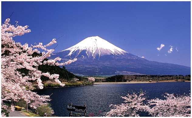 Jepang Bisa Sewa Gunung untuk Berwisata, Unik!!!