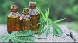 Jepang Legalkan Penggunaan Ganja untuk Pengobatan