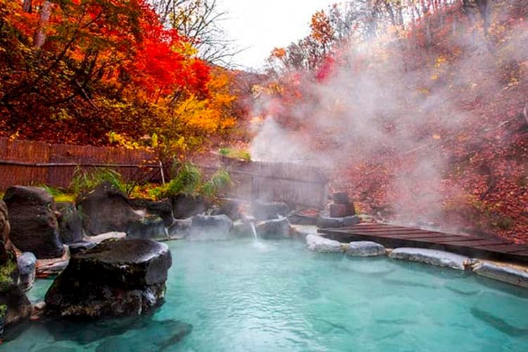 Pemandian Air Panas di Jepang Utara Tawarkan "Mandi Apel"