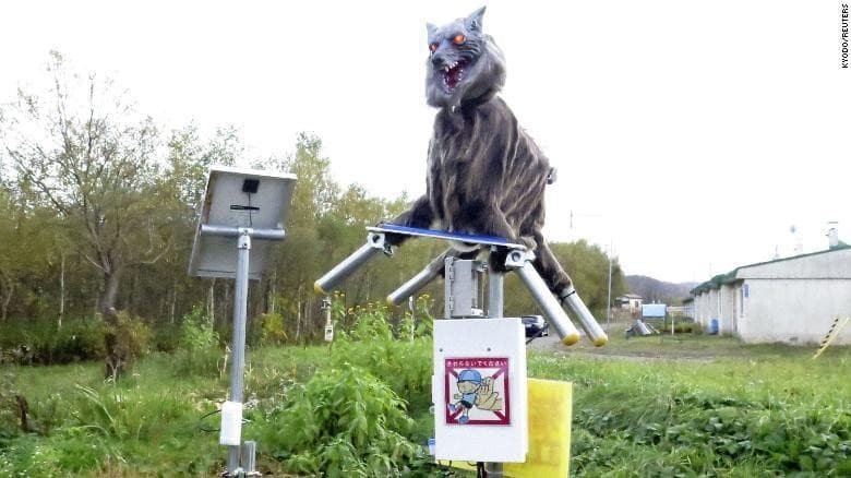 Ilmuwan Jepang Kembangkan Robot "Monster Serigala" Untuk Mengusir Hewan Liar