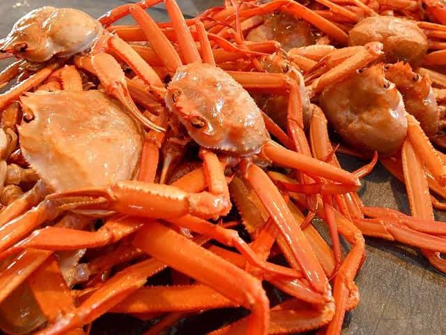 Hasil Tangkapan Pertama Kepiting Salju Merah Pascagempa di Jepang Tengah