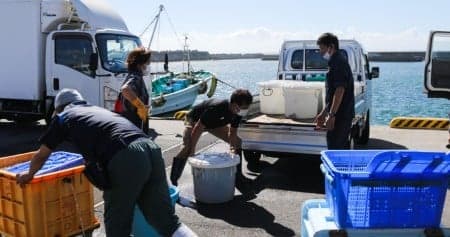 Ekspor Makanan Laut Jepang ke Cina Anjlok 90%