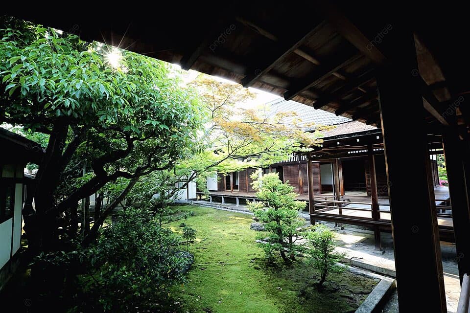 Daun Maple Hijau Terpantul di Lantai Kuil Kyoto