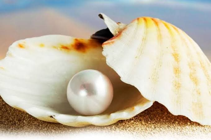 Mutiara Jepang Populer di Pameran Perdagangan Perhiasan di Hong Kong
