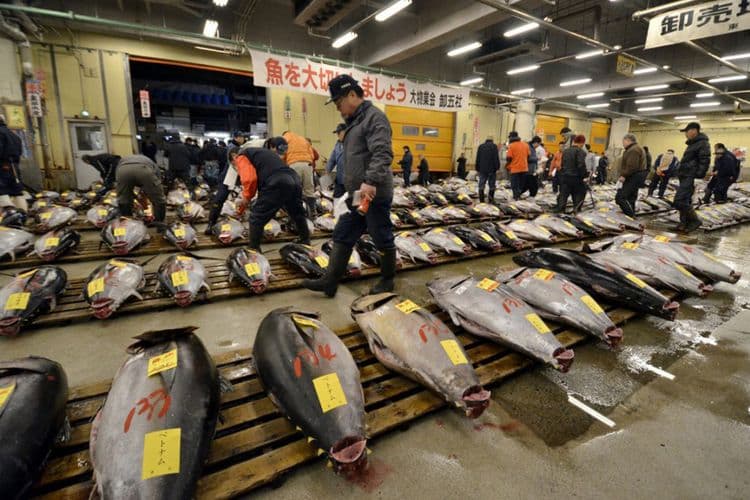 Rencana Pembangunan Kembali di Lokasi Pasar Ikan Tsukiji Diumumkan