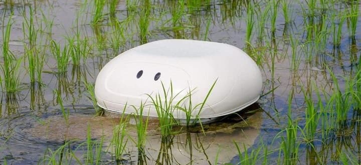 Sekolah di Jepang Uji Coba Robot Mirip Bebek untuk Atasi Gulma