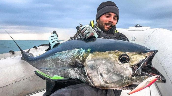 Jepang Ingin Tambah Kuota Tangkapan Tuna Sirip Biru Pasifik