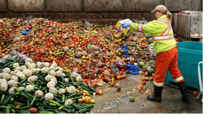 Indonesia-Jepang Kolaborasi Olah Limbah Pertanian Jadi Biofuel dan Biokimia