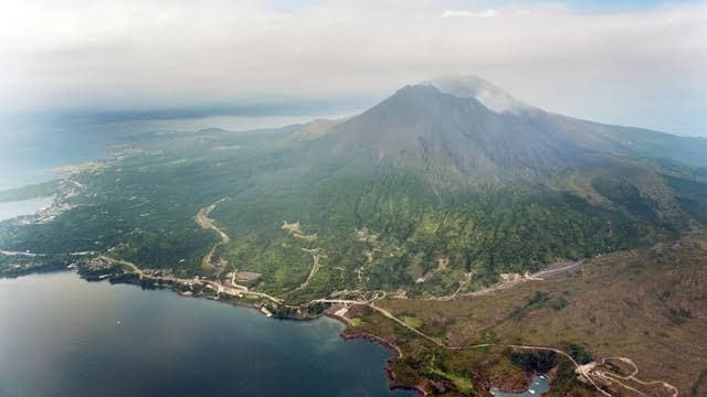 Genus Tumbuhan Baru Terdeteksi di Jepang