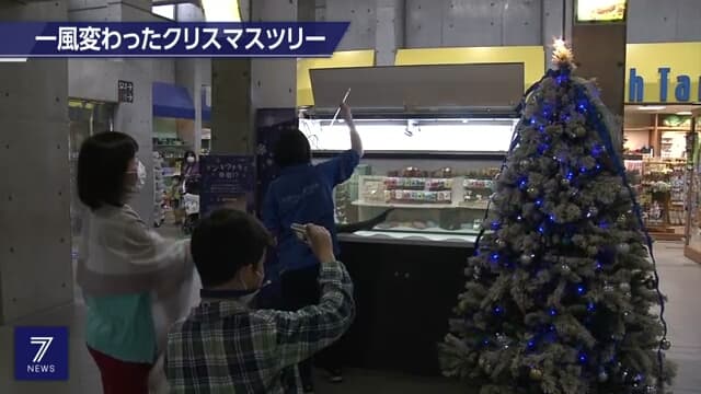 Belut Listrik Terangi Pohon Natal Di Jepang Tengah