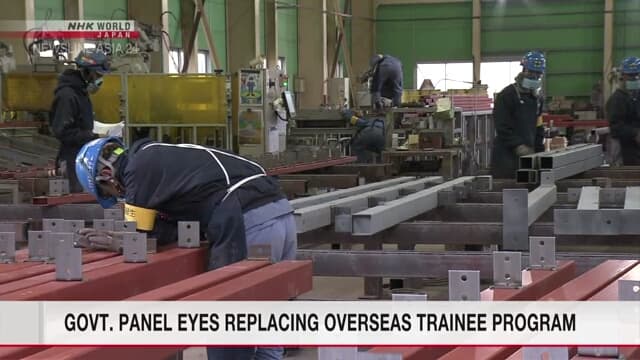 Panel Jepang Usul Program Pemagang Teknis Diganti Sistem Baru