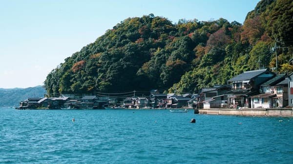 Ahli Kaget Temukan Ikan Tengkorak Mirip Panda di Laut Jepang