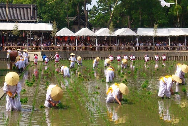 Ritual Diadakan untuk Panen yang Baik dan Kebangkitan dari Gempa
