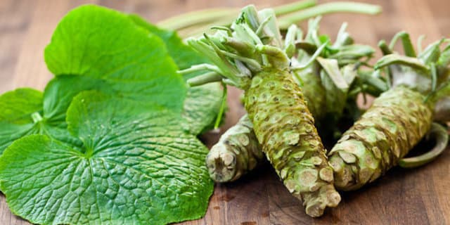 Wasabi Bermanfaat Untuk Kesehatan Tubuh