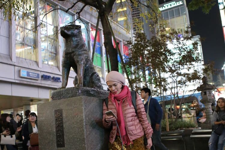 Patung Anjing Hachiko Akan Ditutup pada Malam Tahun Baru