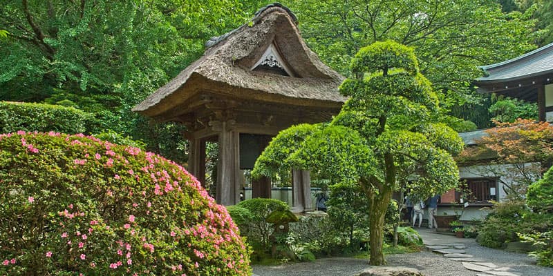 Hokokuji, Kuil Buddha Bersejarah dengan Hutan Bambu di Kamakura Jadi Daya Tarik Wisata Budaya Jepang