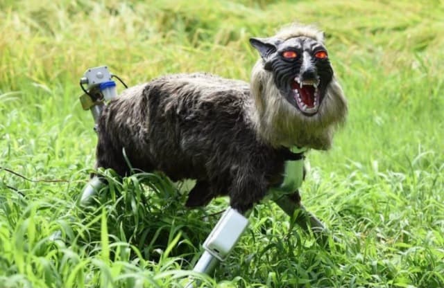 Robot Monster Serigala, Cara Unik Kota Jepang Lindungi Warga dari Beruang Liar