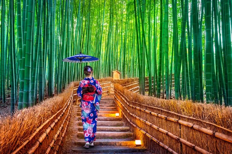 Jepang (Akhirnya) Dibuka Kembali Sepenuhnya untuk Wisatawan Independen
