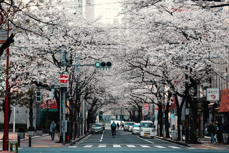 Jepang Rencanakan Sistem "Pengiriman Otomatis" Tokyo-Osaka
