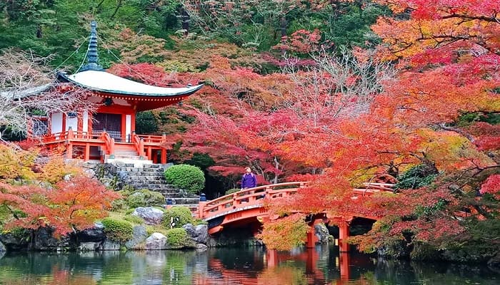 TIPS & TRIK LIBURAN HEMAT KE JEPANG!!!