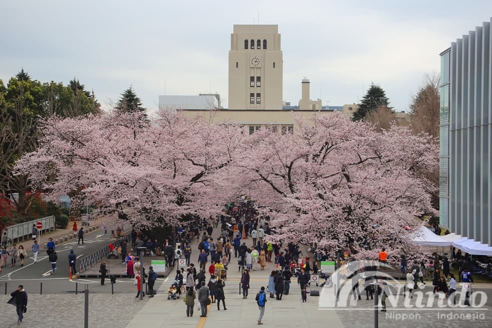 BEASISWA ke Jepang : S1 di Tokyo Institute of Technology