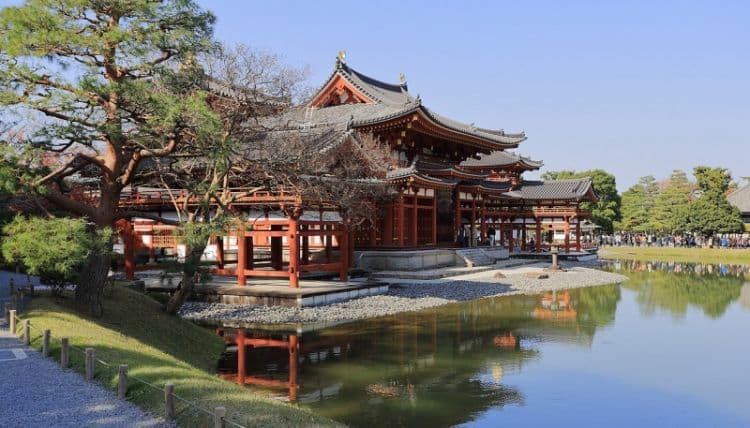 Teratai dari Benih 200 Tahun Mekar Penuh di Kuil Byodoin Kyoto